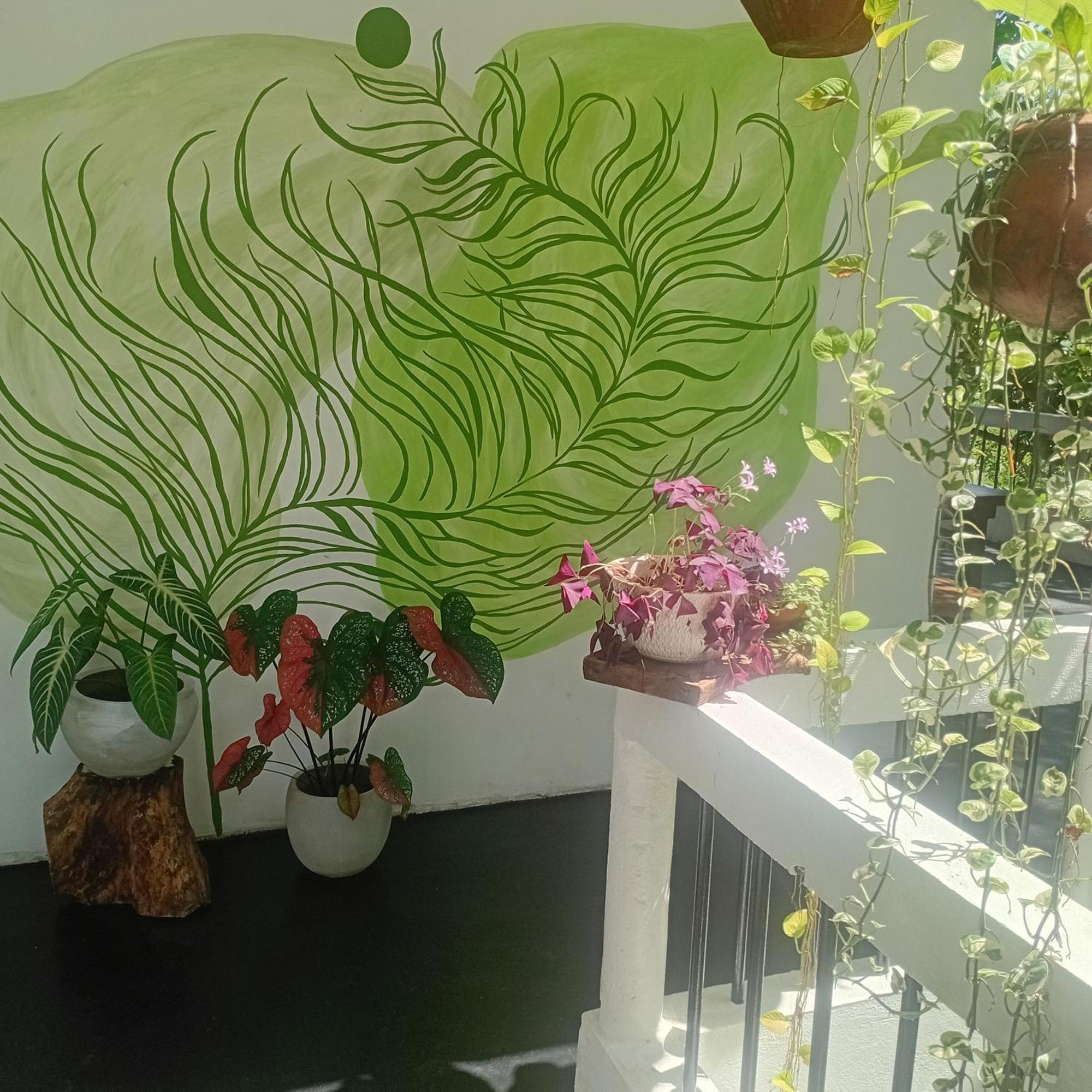 Daasa Guest Mirissa Hotel Szoba fotó